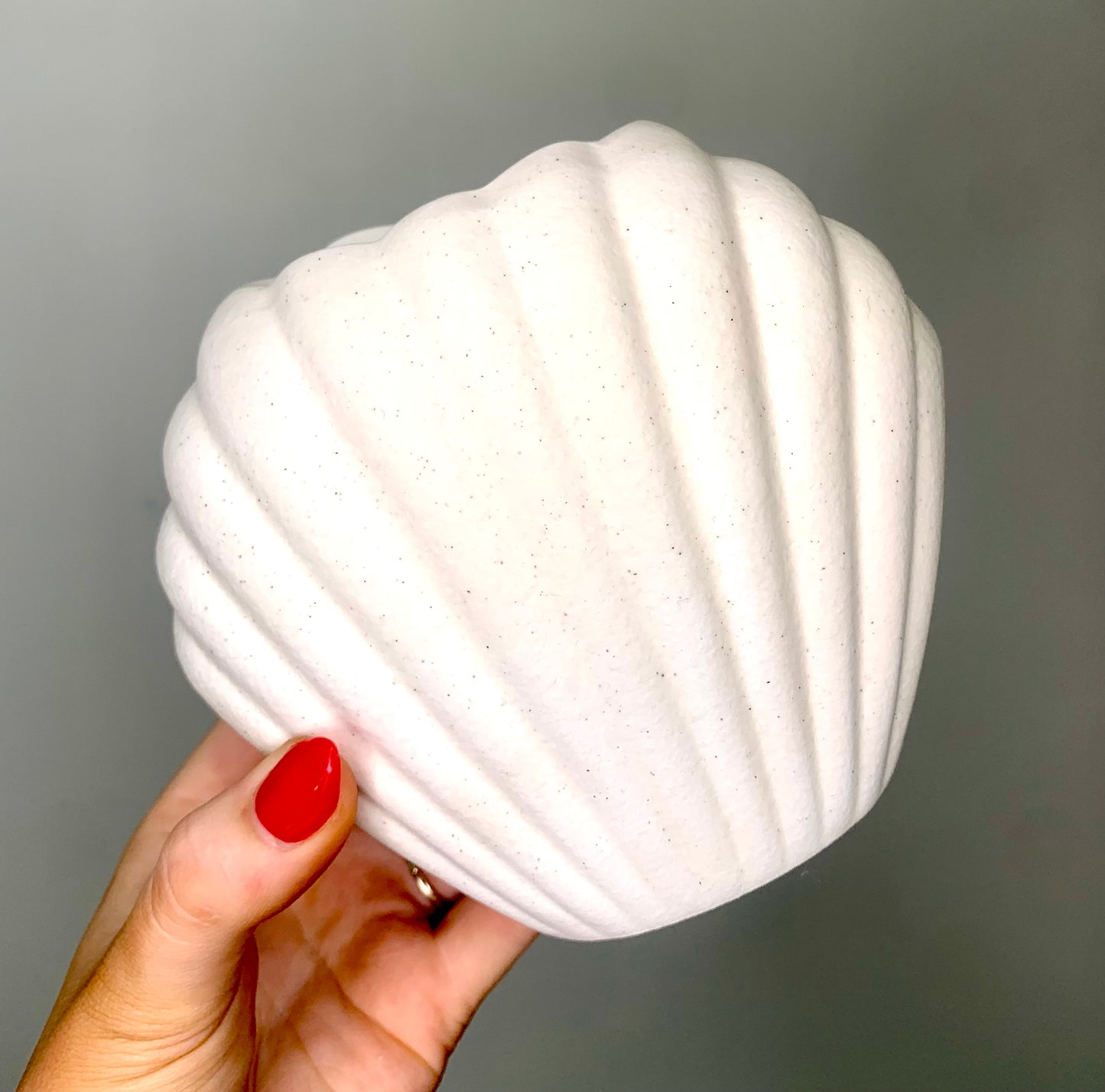 Sea Shell Wax Burner